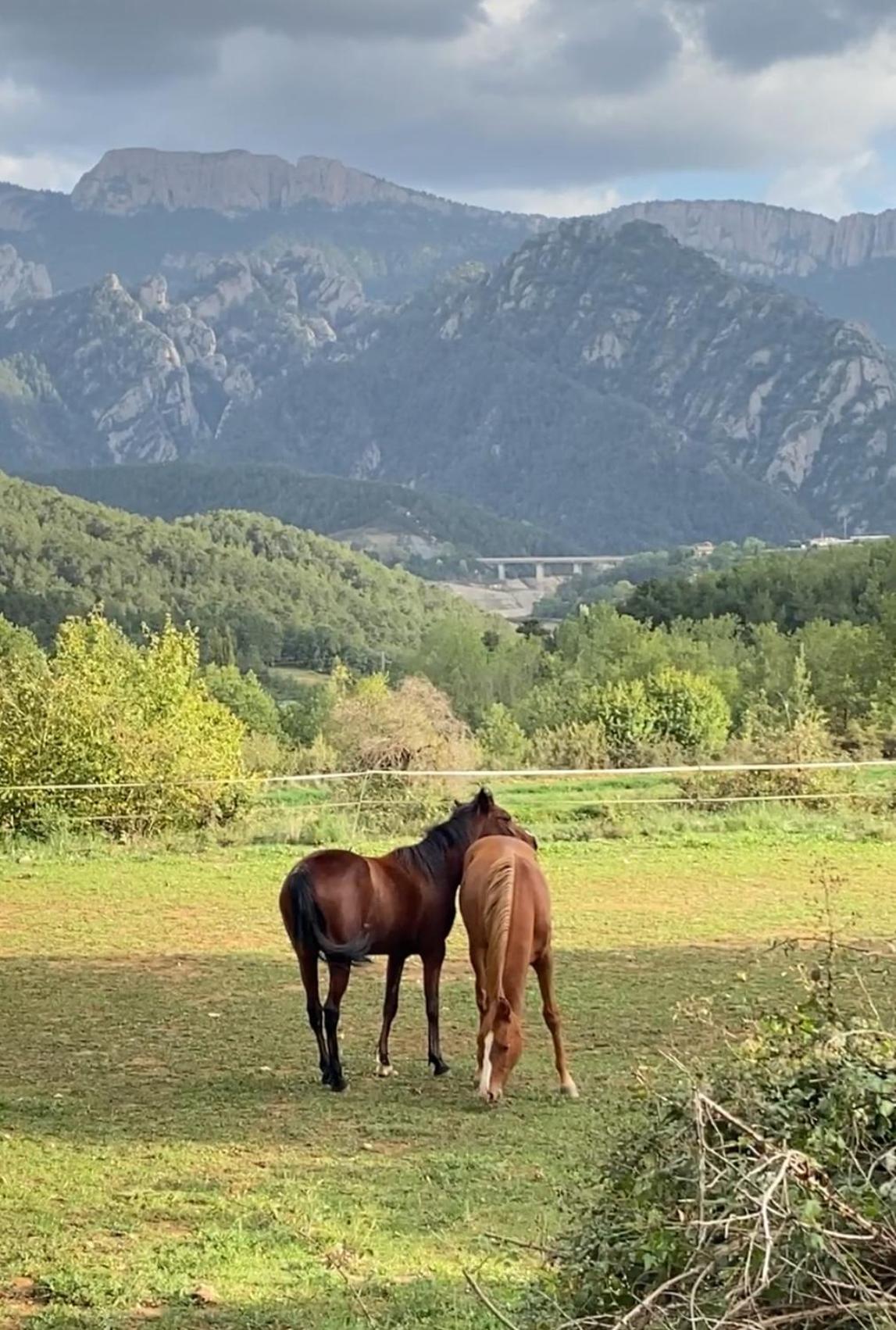 Alberg Rural Torre Del Baro ซานต์ ยอเรนโซ เด มอรูนิซ ภายนอก รูปภาพ